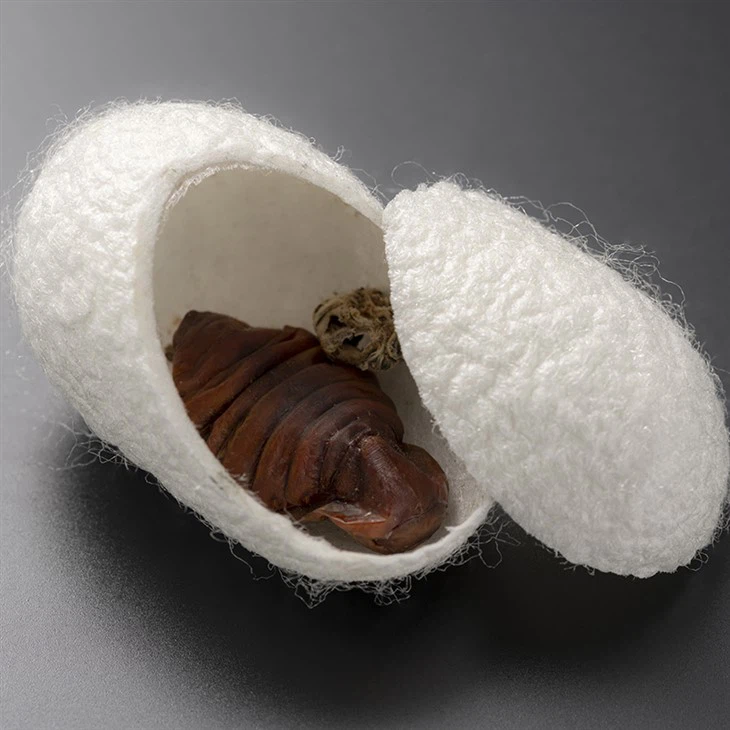 _。。_166235435 (1)